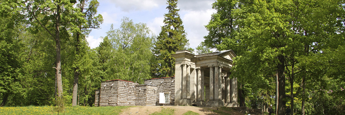 Find out what surprise the Birch house is concealing