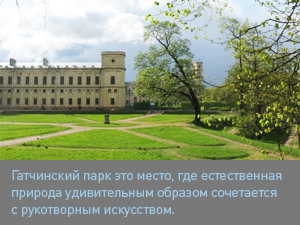 gatch1.jpg gatch1.jpg